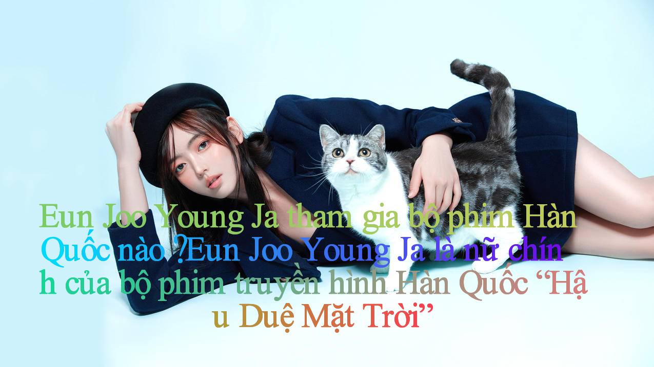 Eun Joo Young Ja tham gia bộ phim Hàn Quốc nào？ Eun Joo Young Ja là nữ chính của bộ phim truyền hình Hàn Quốc “Hậu Duệ Mặt Trời”