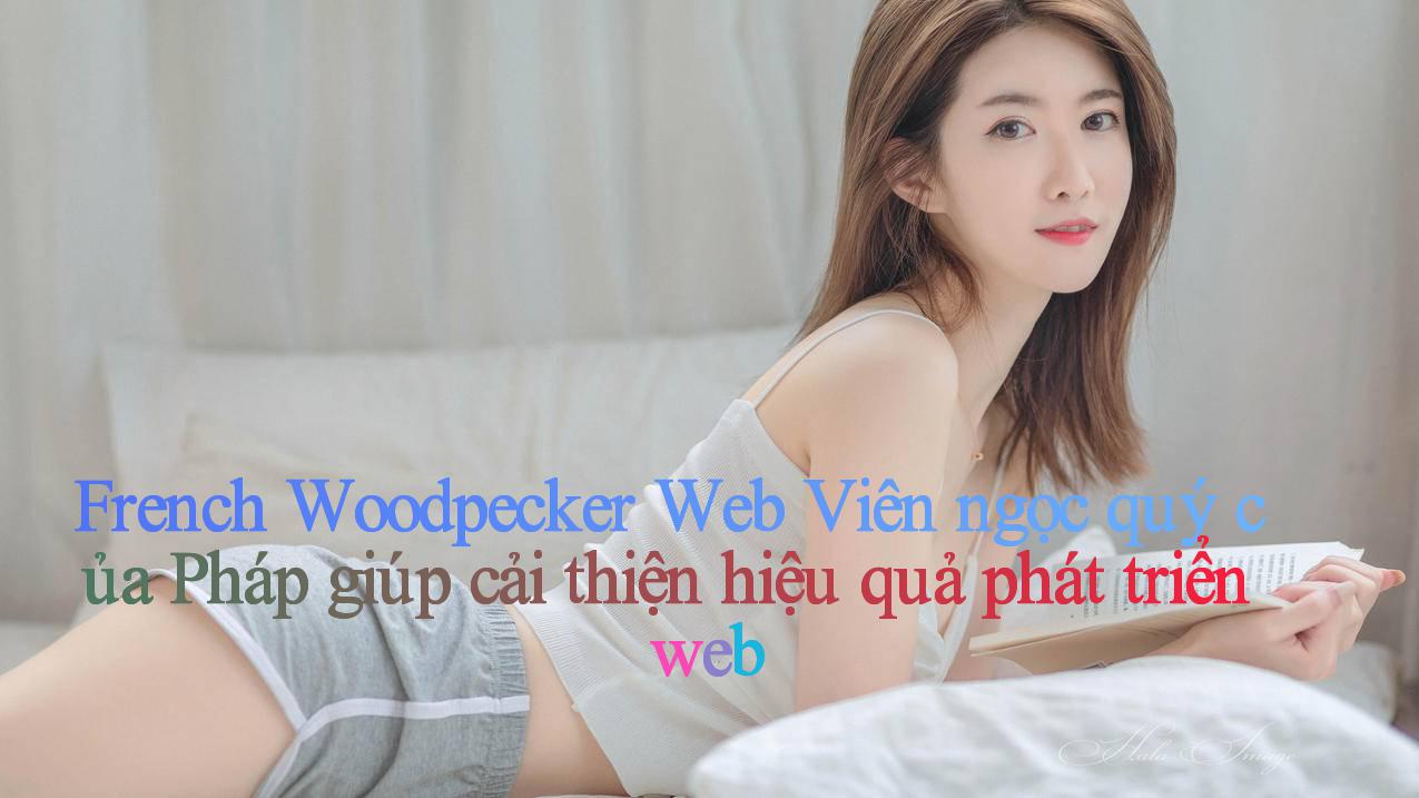French Woodpecker Web： Viên ngọc quý của Pháp giúp cải thiện hiệu quả phát triển web